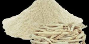 White Shatavari Powder