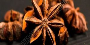 Star Anise