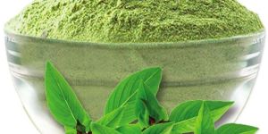 Tulsi Leaf Powder
