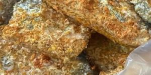 Spent Culture Cordyceps Militaris