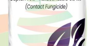 Captan 70%+ Hexaconazole 5% Wp