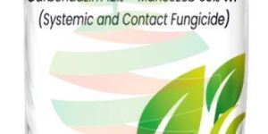 Carbendazim 12% + Mancozeb 63% Wp