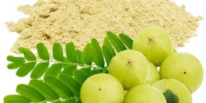 Amla Powder