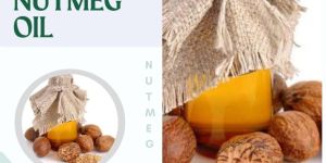 Nutmeg Oil