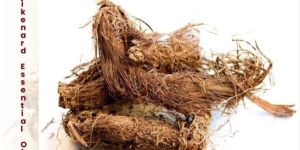 Spikenard Essential Oil