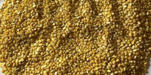 Moong Dal