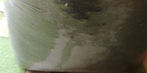 Pure Organic Vermicompost Fertilizer