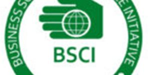 Bsci Compliance Service
