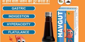 Vcare Havgut Herbal Digestion Syrup