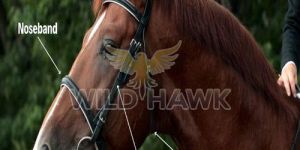 Two Tone Leather Horse Bridle