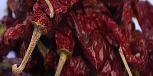 Byadogi Stemcut Dry Red Chilli