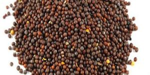 Organic Brown Mustard Seeds