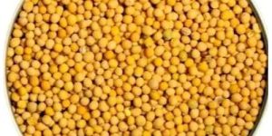 Organic Yellow Mustard Seeds