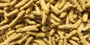 Nizam Turmeric Finger