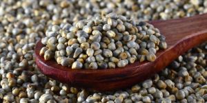 Pearl Millets