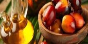 Palm Oil