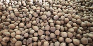 B Grade Dry Coconut Copra