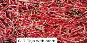 S17 Teja Whole Dry Red Chilli