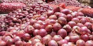 A Grade Maharashtra Fresh Red Onion