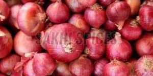 Fresh Red Onion