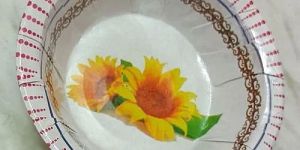 8 Inch Paper Printed Disposable Dona