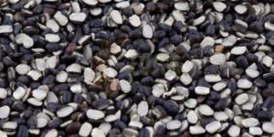 Split Black Urad Dal