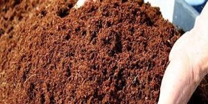 Cocopeat Powder