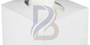 White Boutique Paper Tissue Box