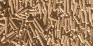 Biomass Pellet