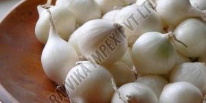 Fresh White Onion