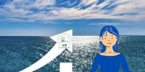 Annual Maintenance Contract