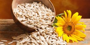 Sunflower Seeds