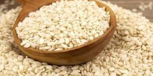 White Sesame Seeds