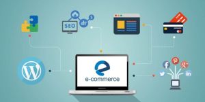 e-commerce software