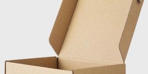 Plain Brown Mailer Box