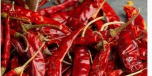 Guntur Red Chilli