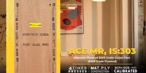 Ace Mr Alternate Plywood