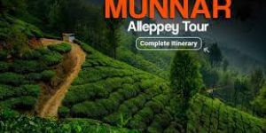 munnar kerala alleppey cochin tour package