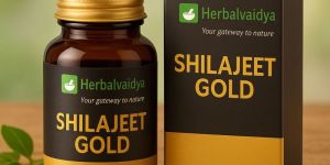 Shilajit Gold
