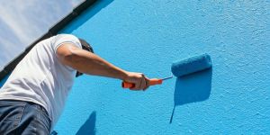 Exterior and Interior Wall Painting Service