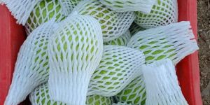 Guava