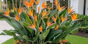 Designer Garden Marble Planter