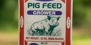 Pig Feed Grower