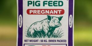 Pig Pregnant Feed