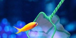 Monofilament Fishing Net