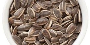Sunflower Seed