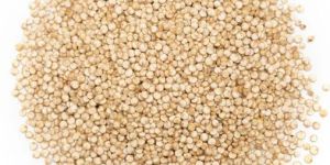 White Quinoa