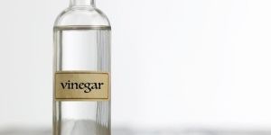 Vinegar