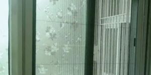 Sliding Mosquito Mesh For Windows