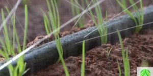 Ksnm Rain Pipe Hose 40 Mm